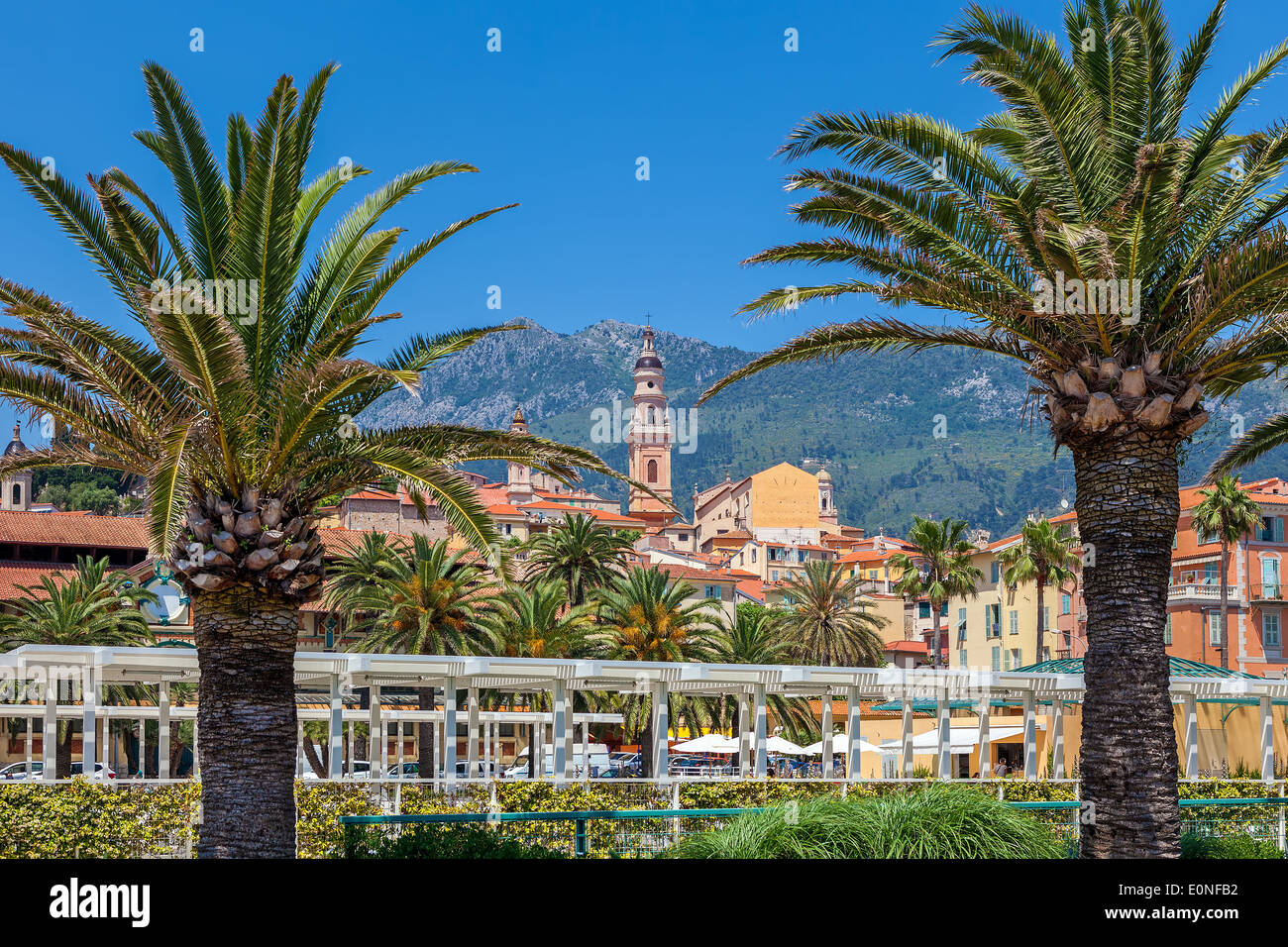 Palms on small town square and colorful houses with bell tower on background in Menton, France. Stock Photo
