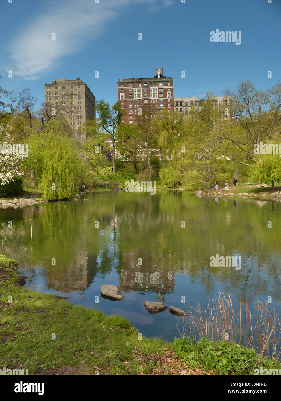 Central Park, New York the Pool Stock Photo Alamy