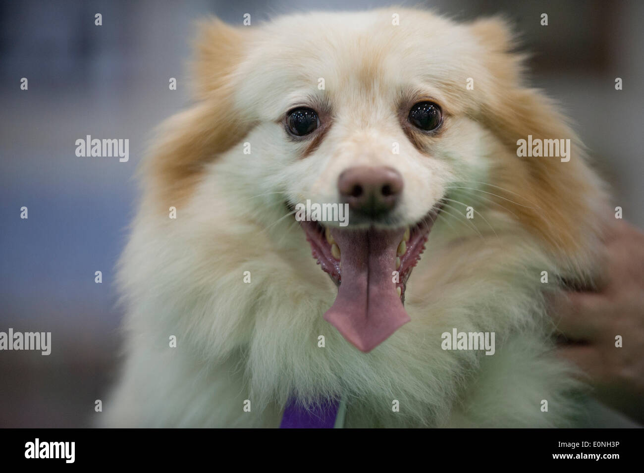 Lola year hi-res stock photography and images - Page 2 - Alamy
