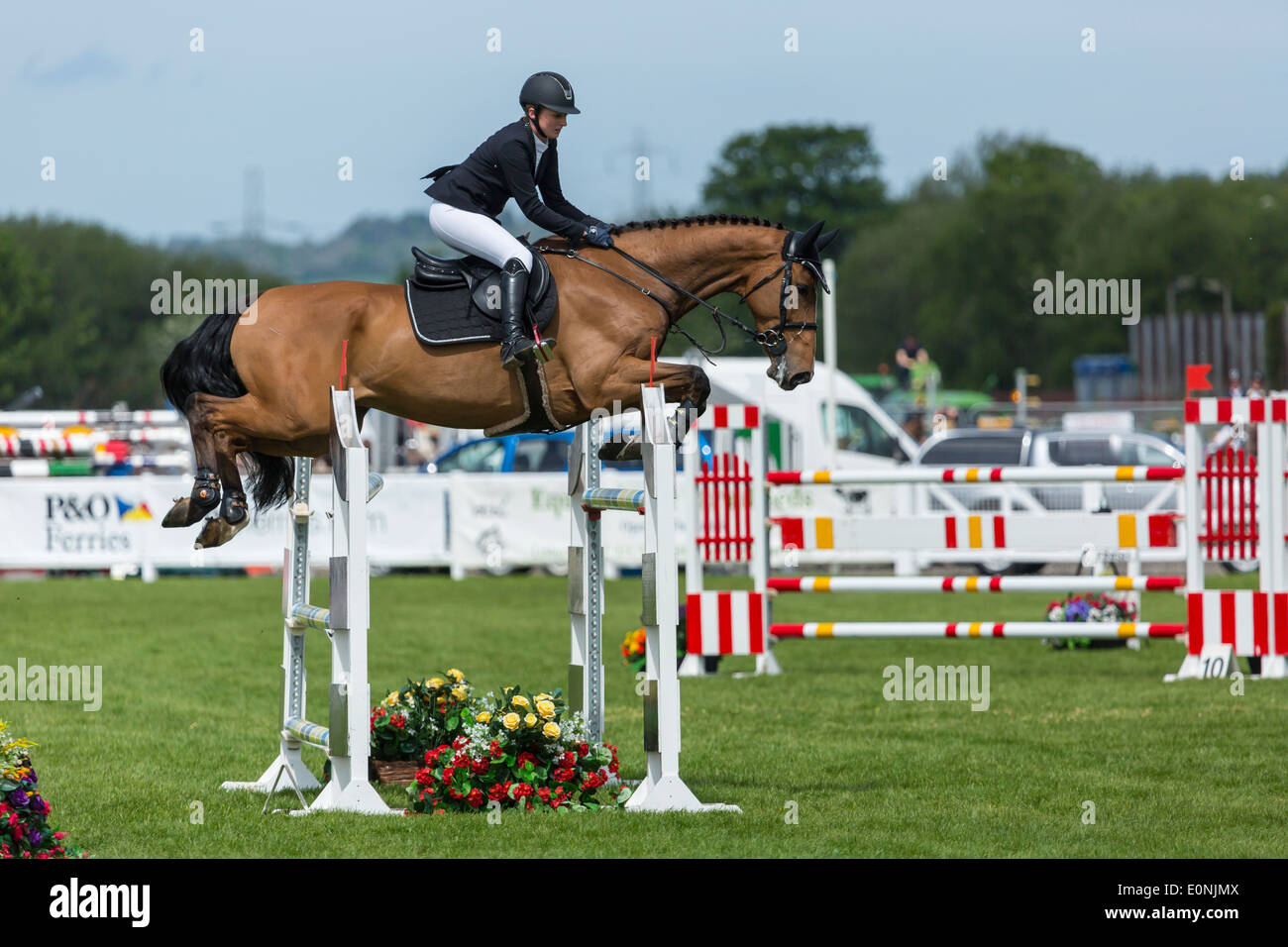 Show Jumping at The 2014 Balmoral Show, The Maze, Lisburn, Northern ...