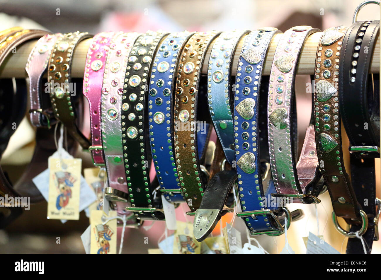 petstock dog collars