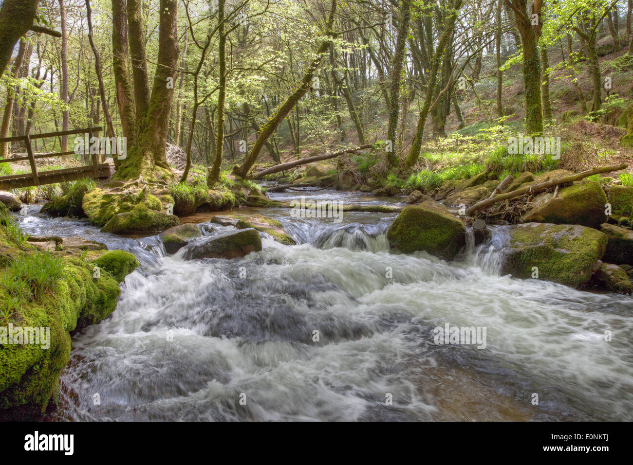 Water from the River Fowey cascading through Draynes Wood making a stepped waterfall know as Golitha Falls Stock Photo