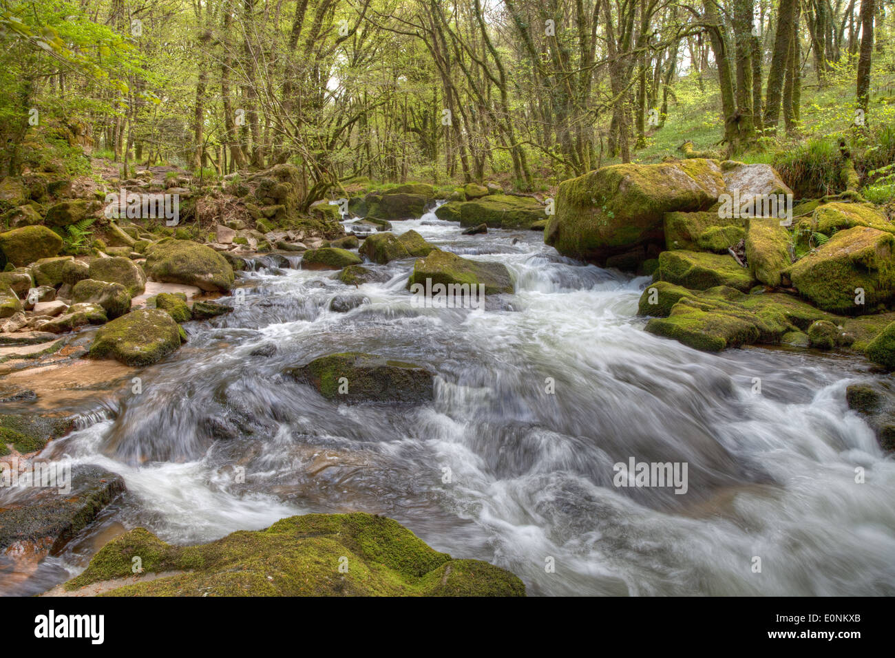 Water from the River Fowey cascading through Draynes Wood making a stepped waterfall know as Golitha Falls Stock Photo