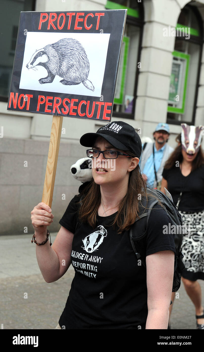 Anti-badger cull protest march, Dorset, Britain, UK Stock Photo