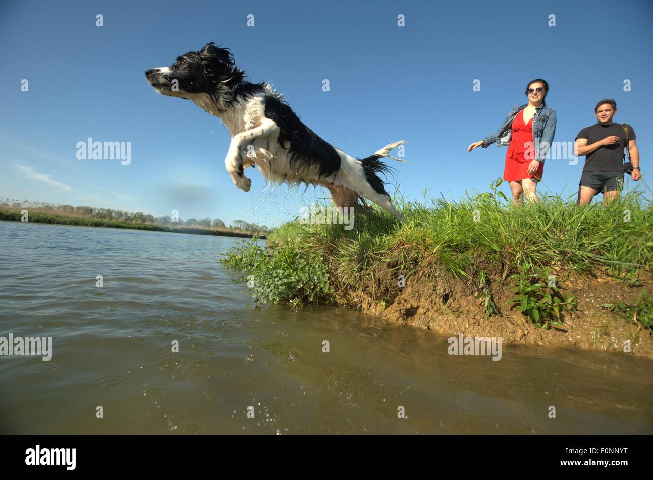 Jumping in river thames hires stock photography and images Alamy