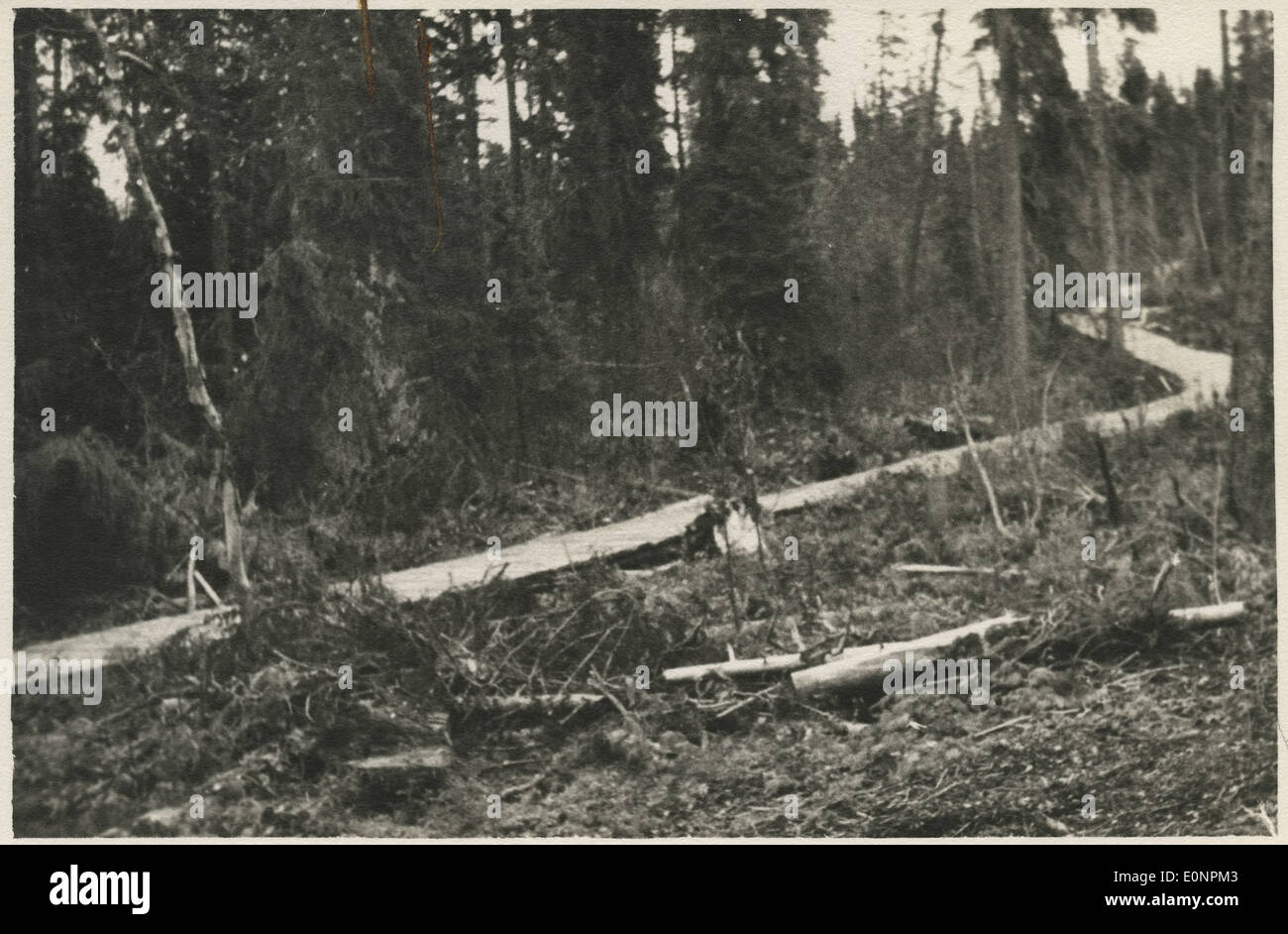 Old historic logging history hi-res stock photography and images - Alamy