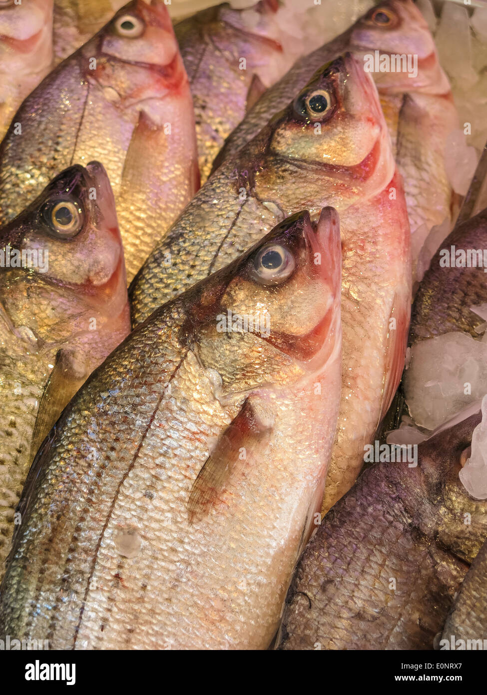 Fresh Whole Fish, Chinatown Fish Market , NYC, USA Stock Photo Alamy
