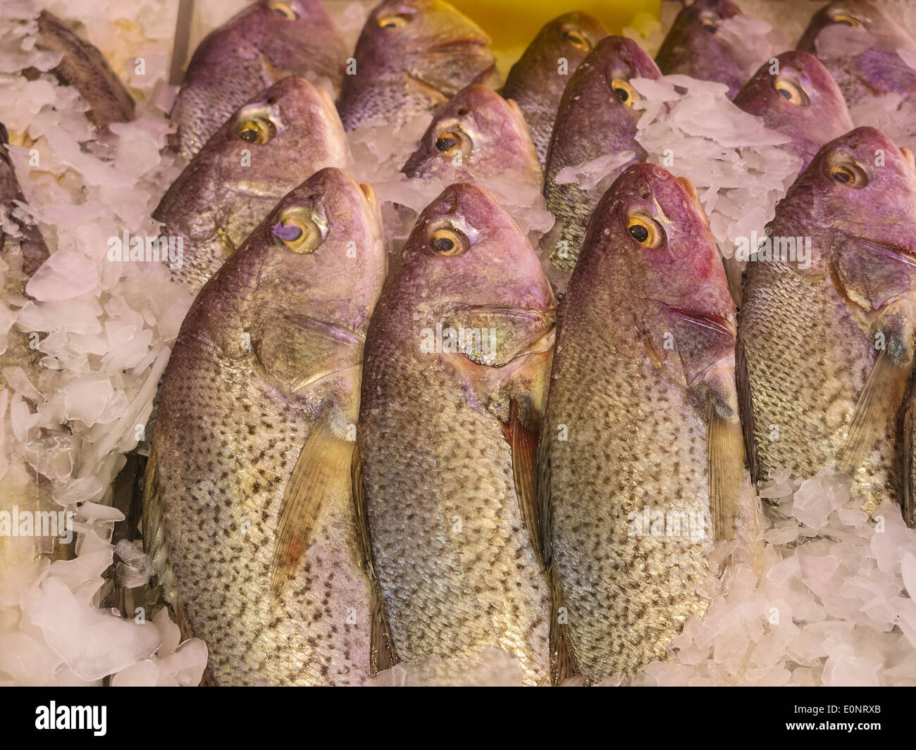 Fresh Whole Fish, Chinatown Fish Market , NYC, USA Stock Photo Alamy