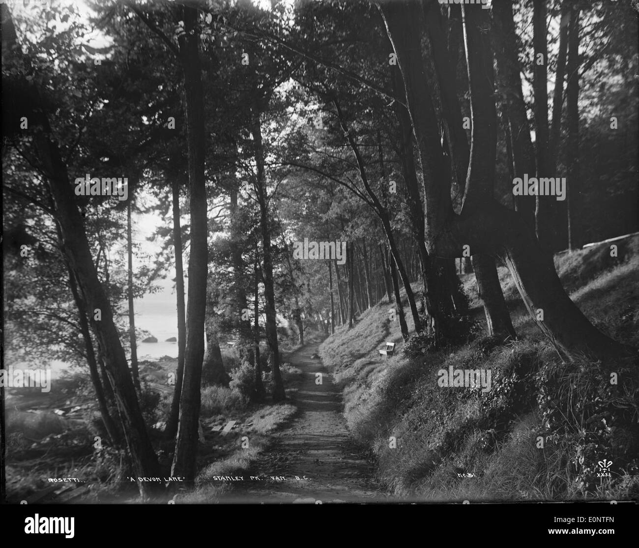 Devon pathway Black and White Stock Photos & Images - Alamy