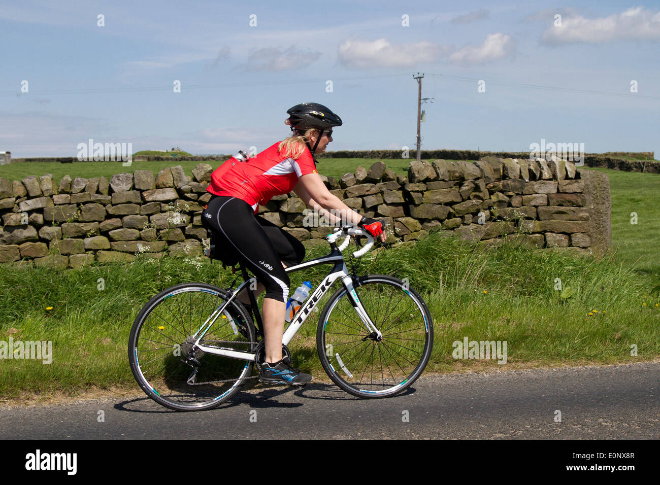 womens trek bike womens trek bike