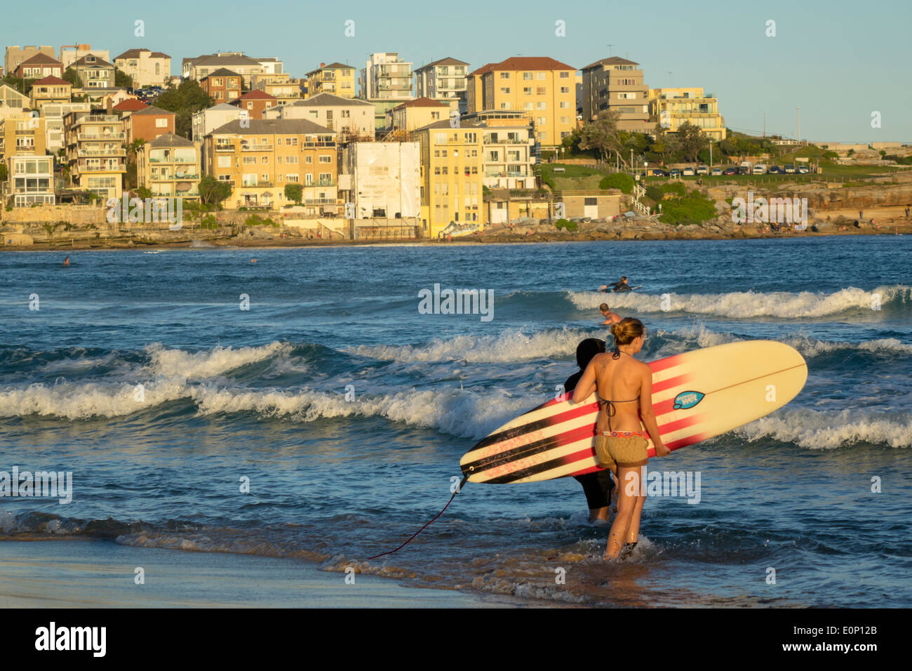Sydney Australia,Bondi Beach,Pacific Ocean,surf,waves,sand,public,North Bondi,surfers,surfer,woman female women,surfboard,AU140310232 Stock Photo