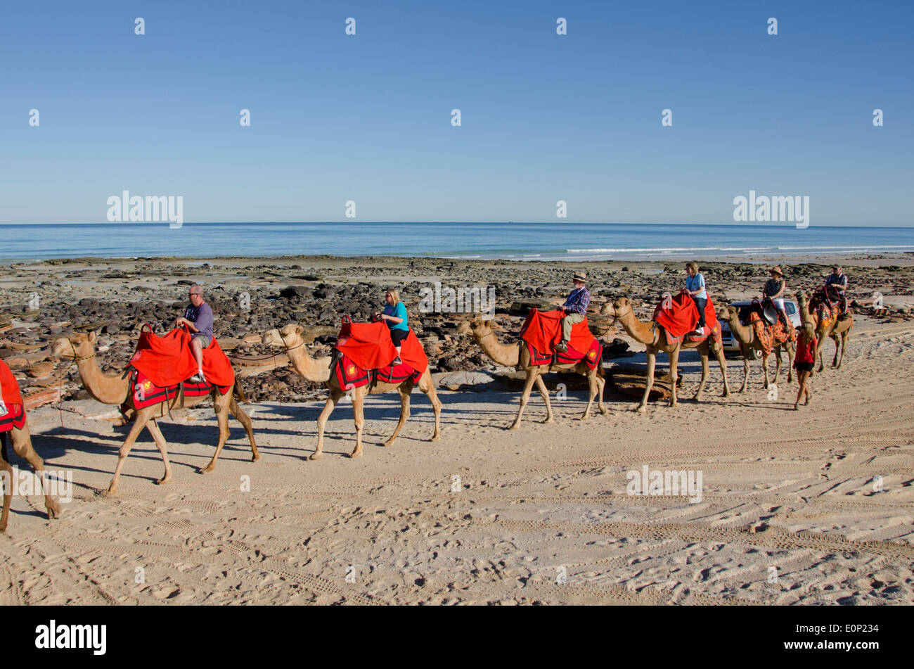 Australia, Western Australia, Broome, Cable Beach. Sight-seeing camel ...