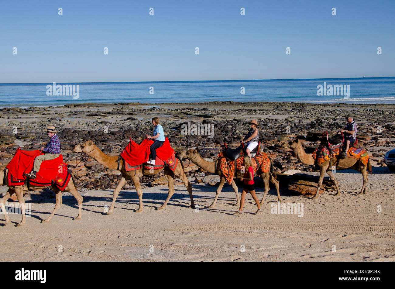Australia, Western Australia, Broome, Cable Beach. Sight-seeing camel ...