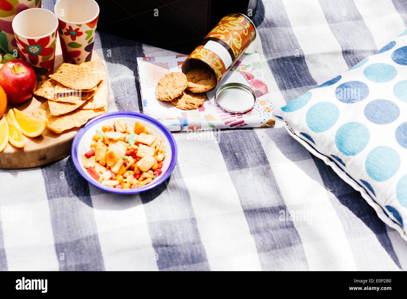 https://c8.alamy.com/comp/E0P2B0/picnic-setting-with-fresh-fruit-and-snacks-sitting-on-checkered-pinic-E0P2B0.jpg