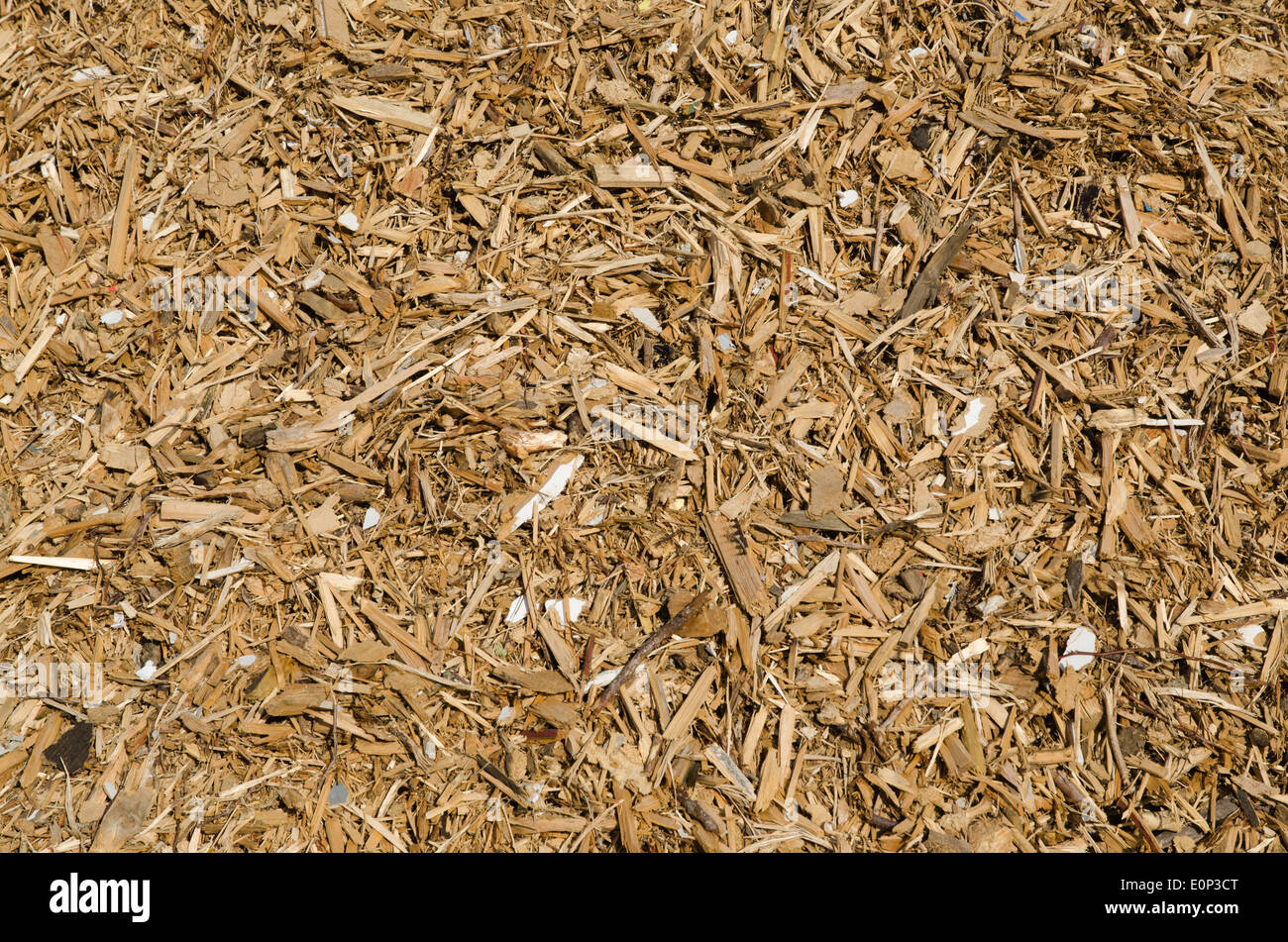 Background of woodchips renewable energy Stock Photo