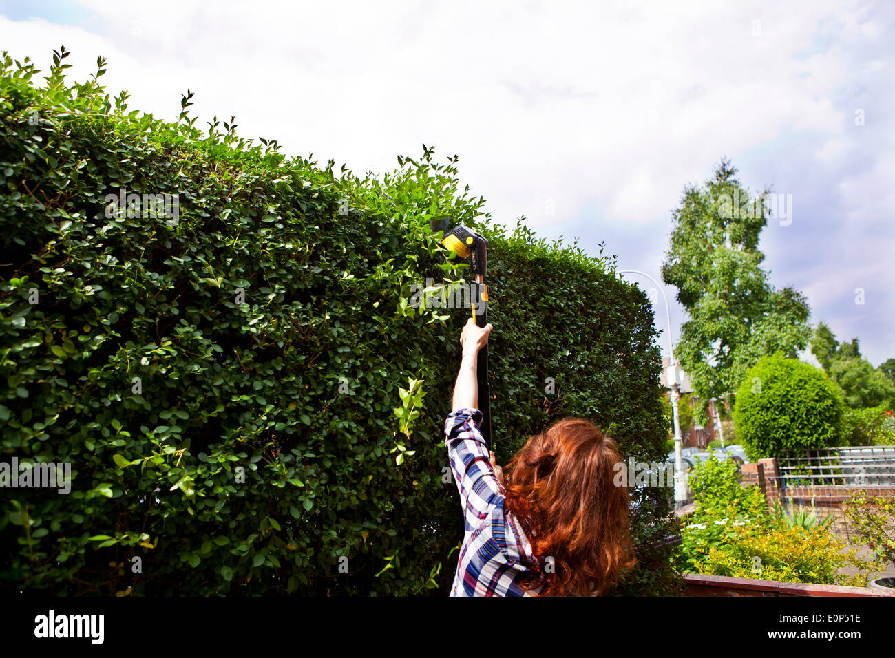 Woman trimming hedge with an cordless electric hedge trimmer Stock Photo