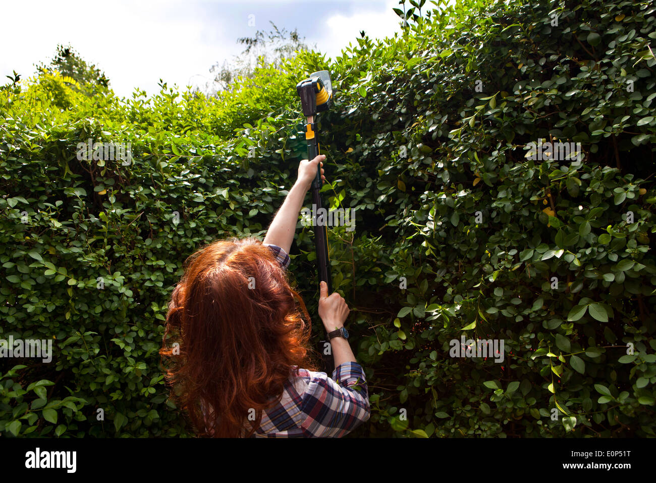 Woman trimming hedge with an cordless electric hedge trimmer Stock Photo