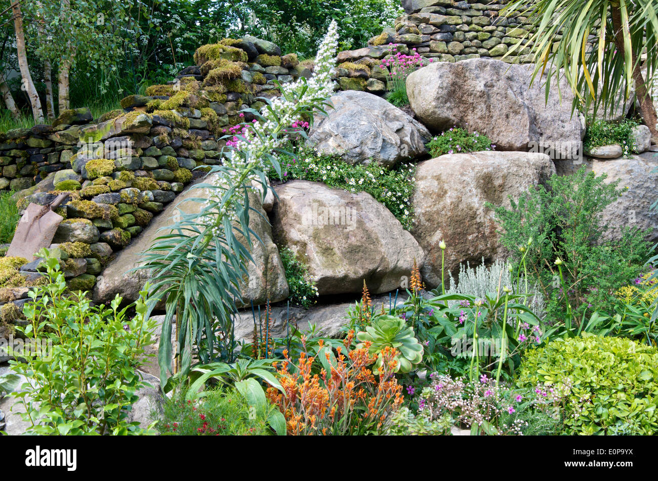 Coastal and rock planting in the garden designed by Alan Titchmarsh in collaboration with Kate Gould. The garden 'From the Moors to the Sea' celebrates 50 years in the horticultural trade for Mr Titchmarsh and the 50th Anniversary of Britain in Bloom. Stock Photo