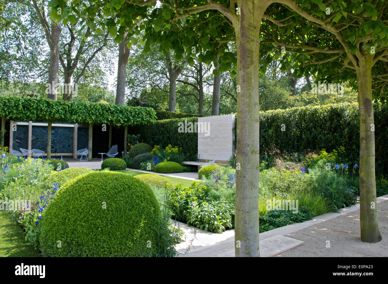 trained lime trees in the telegraph garden, designed by tommaso del