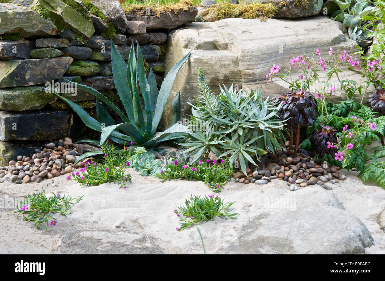 A detail of the coastal planting in the garden designed by Alan ...
