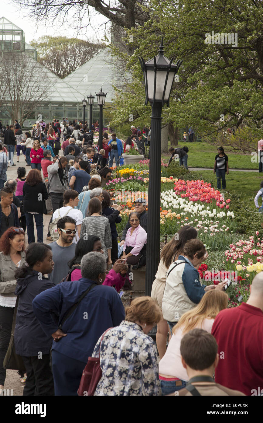 People Enjoy The Beautiful Spring Colors At The Brooklyn Botanic