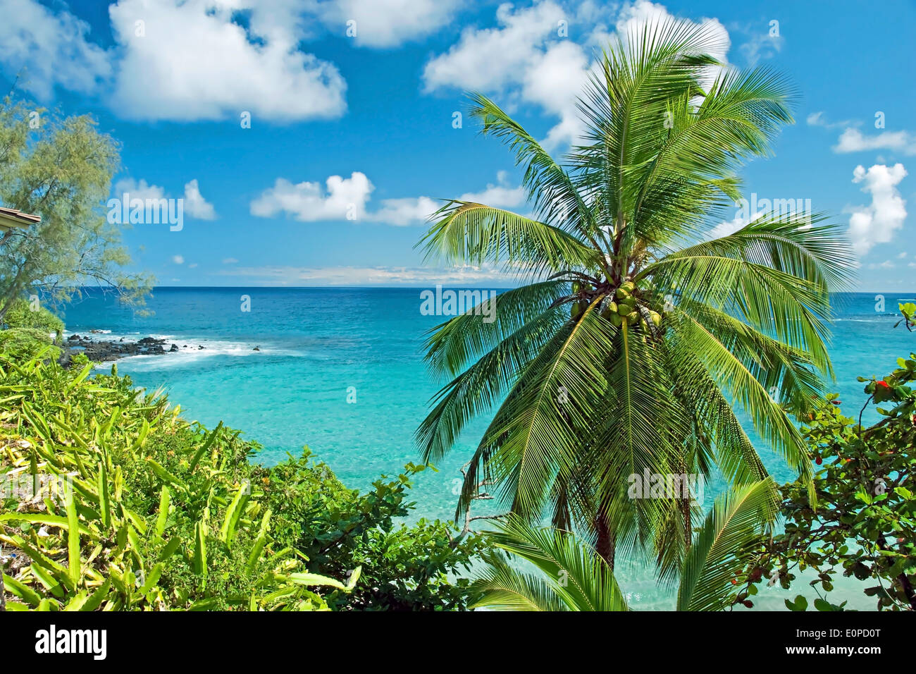 Hawaii paradise on Maui island Stock Photo