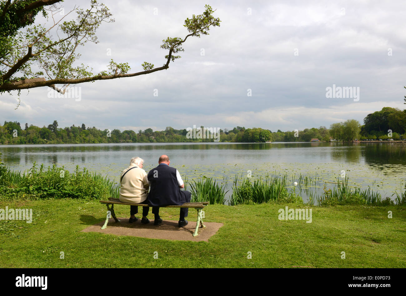 Ellesmere lake lakes Shropshire Uk Stock Photo - Alamy