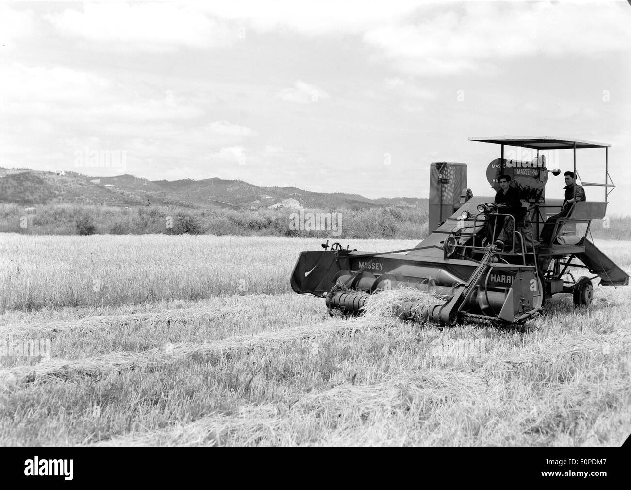 Companhia das Lezírias is a historic agricultural company located in Ribatejo, Portugal. The company is known for its agricultural production, particularly in the areas of livestock and crop farming. Stock Photo