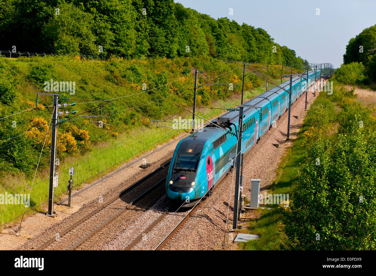 TGV Ouigo ( French high-speed rail service low cost ) in the LGV Sud-Est near Sens, France Stock Photo