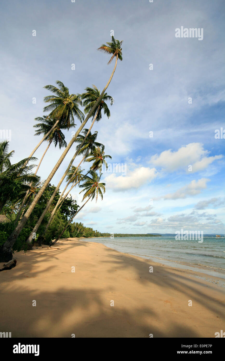 Palm trees at a deserted beach at Koh Maak (Koh Mak), Thailand Stock Photo