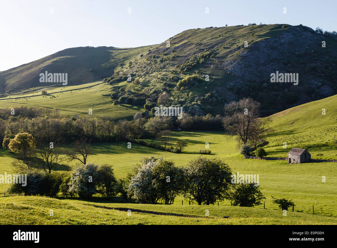 Dovedale and Bunster Hill, Peak District National Park, Derbyshire Stock Photo