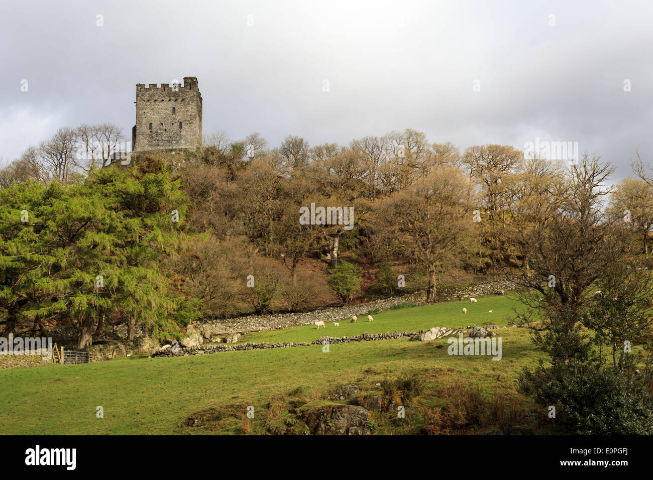 Castell Dolwyddelan, Snowdonia Stock Photo
