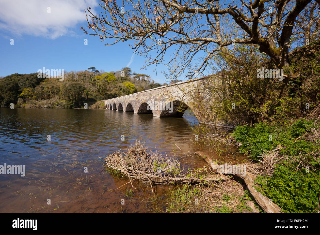 Footbridge over Fish Pond, near Stackpole, Pembrokeshire, Wales UK ...