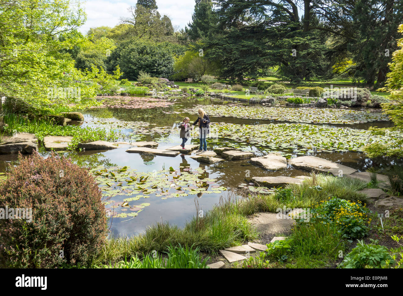 Stepping Stones Cambridge Botanic Gardens Mother and Daughter Stock Photo