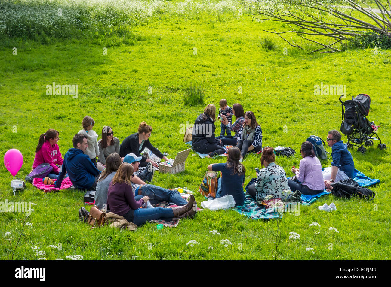 Family and Friends Picnic Picnicking in Meadow Stock Photo Alamy