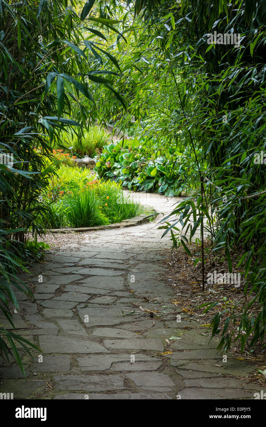Cambridge Botanic Gardens Romantic Winding Path Stock Photo