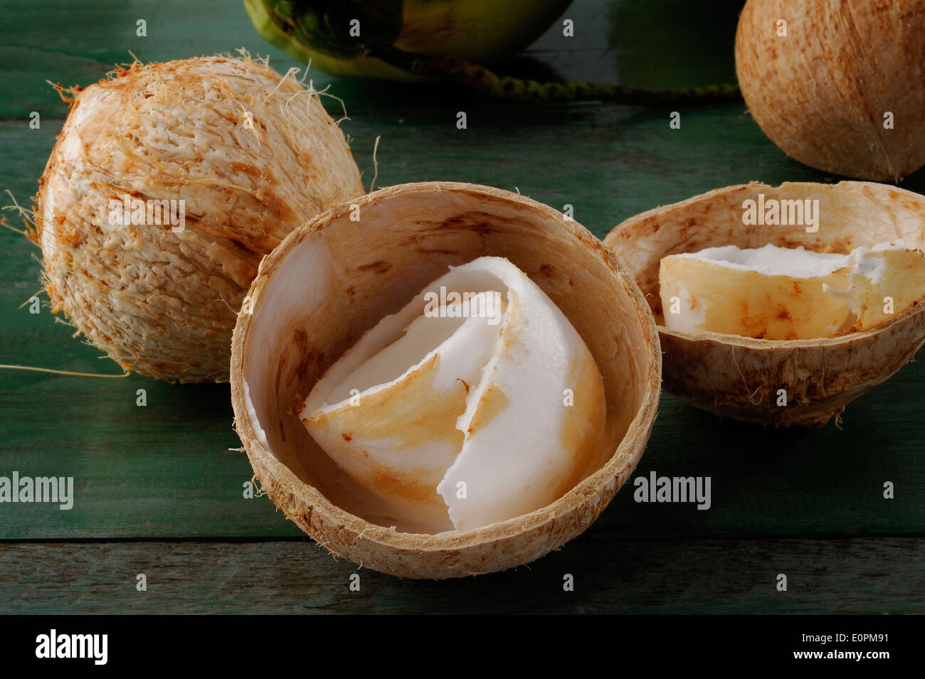 Coconut meat of the fresh young coconut Stock Photo Alamy