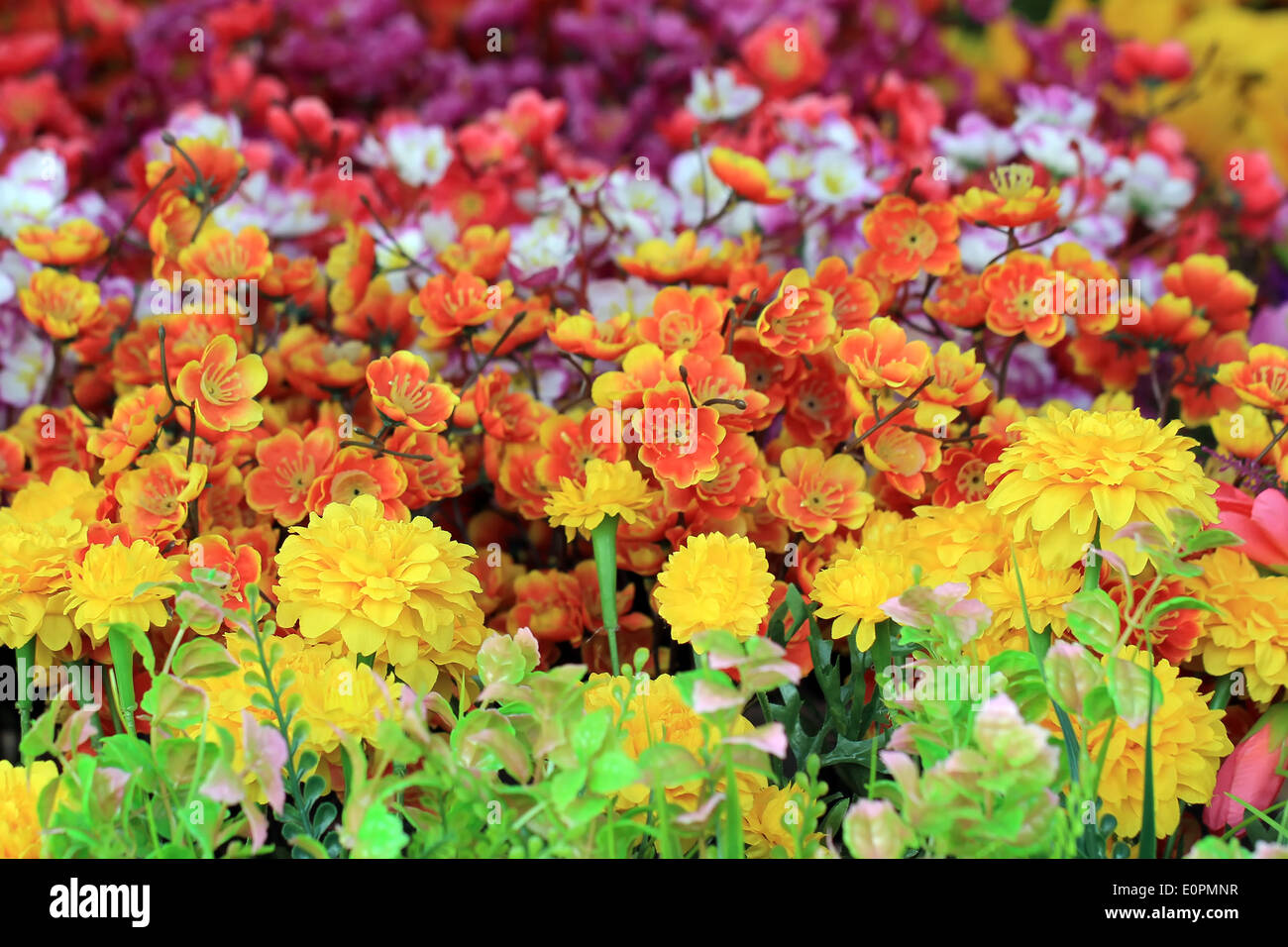 colorful of decoration artificial flower Stock Photo