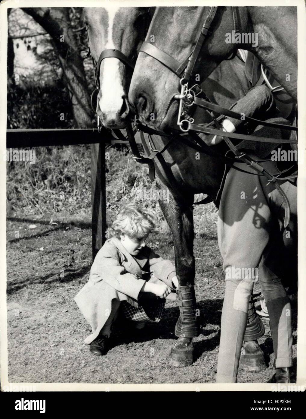 apr-13-1957-13-4-57-princess-anne-helps-with-the-polo-ponies-princess-E0PXKM.jpg