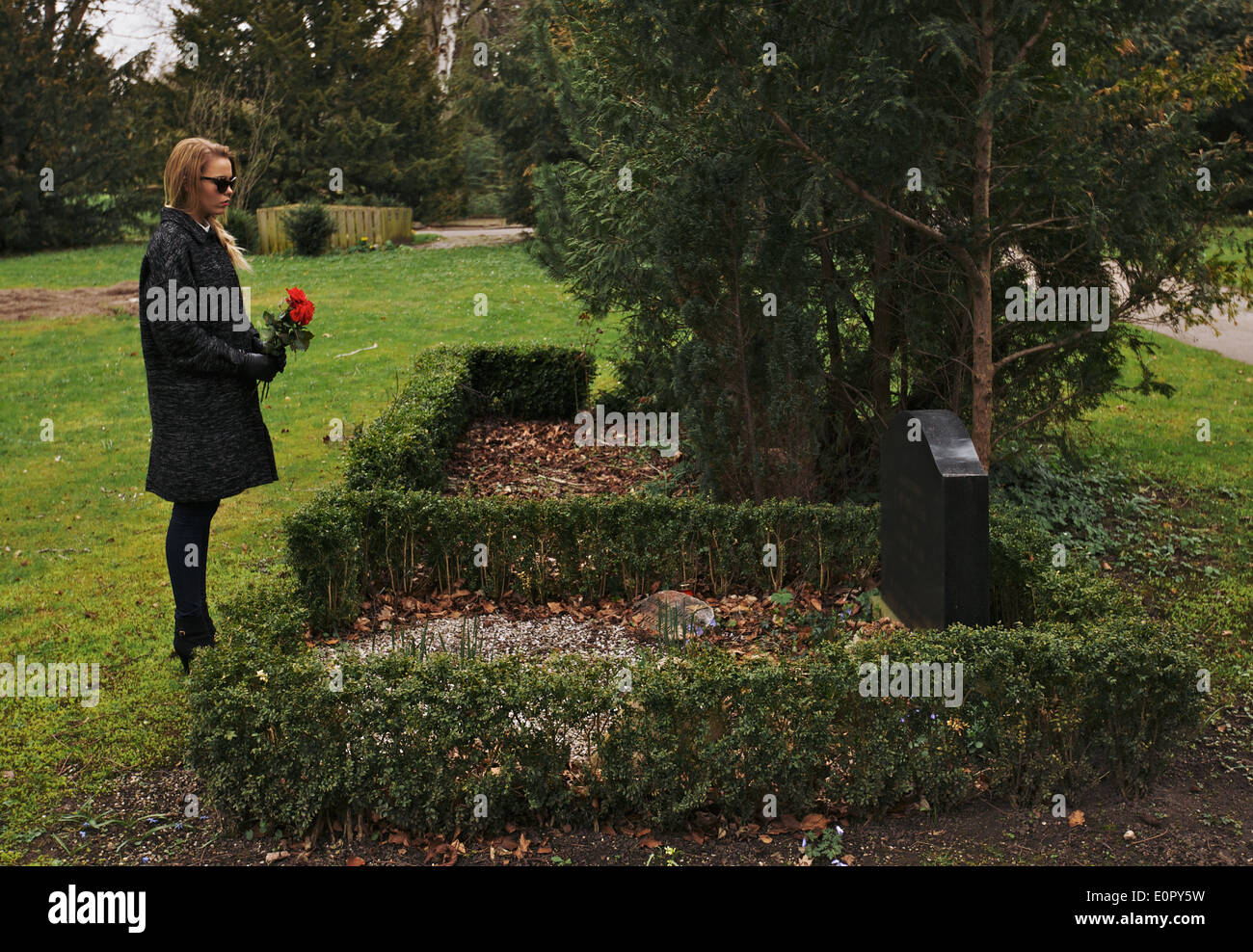 Sad woman grieving in a cemetery holding red roses. Young woman standing at the gravestone of her family member. Stock Photo