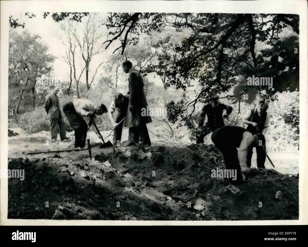 May 05, 1957 - WIDOW FOUND STRANGLED IN WOOD.. DIGGING BENEATH THE TREES.. The strangled body of 34 year old widow, Mrs. Muriel Maitland was found in a shallow grave beneath an elm tree in Cranford Park, Middlesex, last night after an all day search. The woman had disappeared on Tuesday. Keystone Photo Shows:- Digging before discovery of the body in Cranford Park last night. Stock Photo