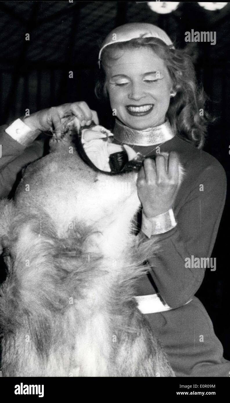 May 31, 1957 - ''Miss Belita'' a 30-year-old German beast-teacher, was distinguished with diploma as the world's first beat-teacher by her tutor, famous circus-director Willi Hagenbeck (Willi Hagenbeck) Laughing, without fear, ''Miss Bellita'' is looking into her lion's jaws. Stock Photo