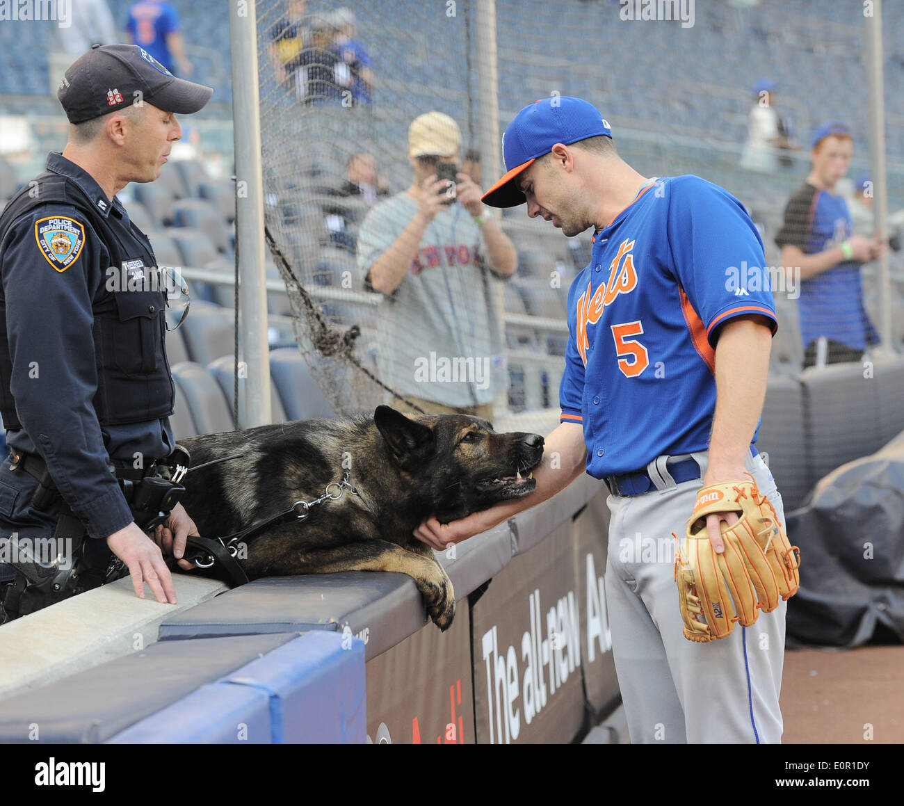 David Wright: His Mets career photo album - Newsday