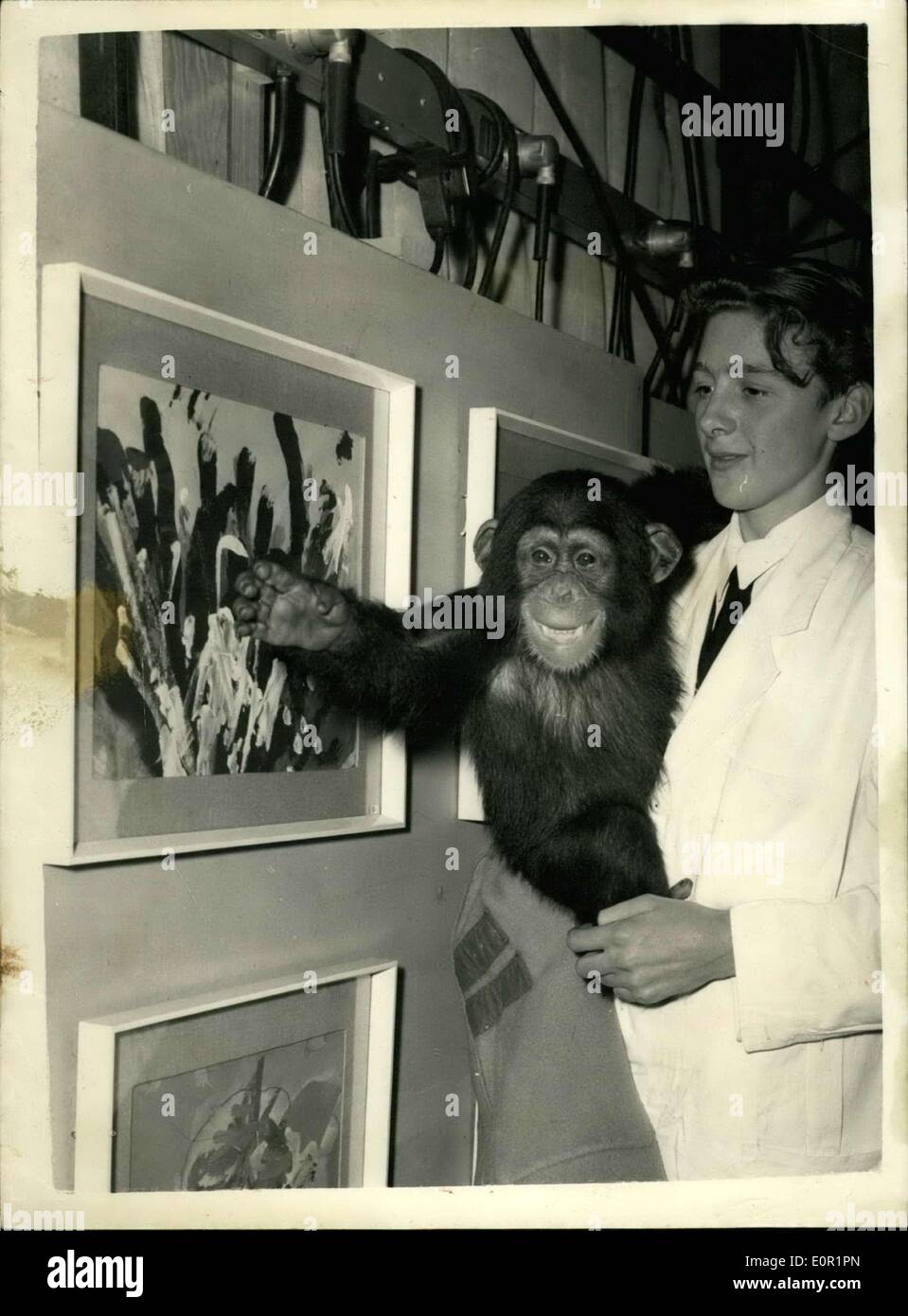 Sep. 16, 1957 - Exhibition of ''Paintings By Chimpanzees'' Preview at London Zoo. A press preview was held this afternoon of ''Paintings by Chimpanzees'' at the London Zoo.. The Exhibition is being presented by the Institute of Contemporary Arts and the Zoological Gardens. The Exhibits itself is being held at the I.C.A Galleries and the ''paintings'' are the work of ''Congo'' of the London zoo and of ''etsy'' of the Baltimore Zoo. Photo shows ''Congo'' held by Tony Fitzgerald his keeper -''looking'' at one of his paintings at the Zoo this afternoon. Stock Photo
