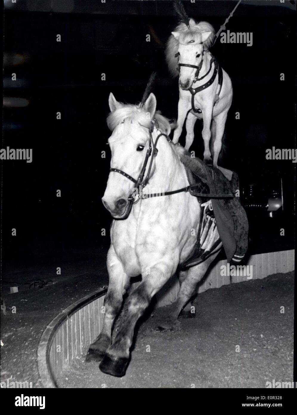 Dec. 26, 1957 - Circus Show In Berlin: A small Shetland Pony rides on the back of a horse. ne Pictures US Stock Photo