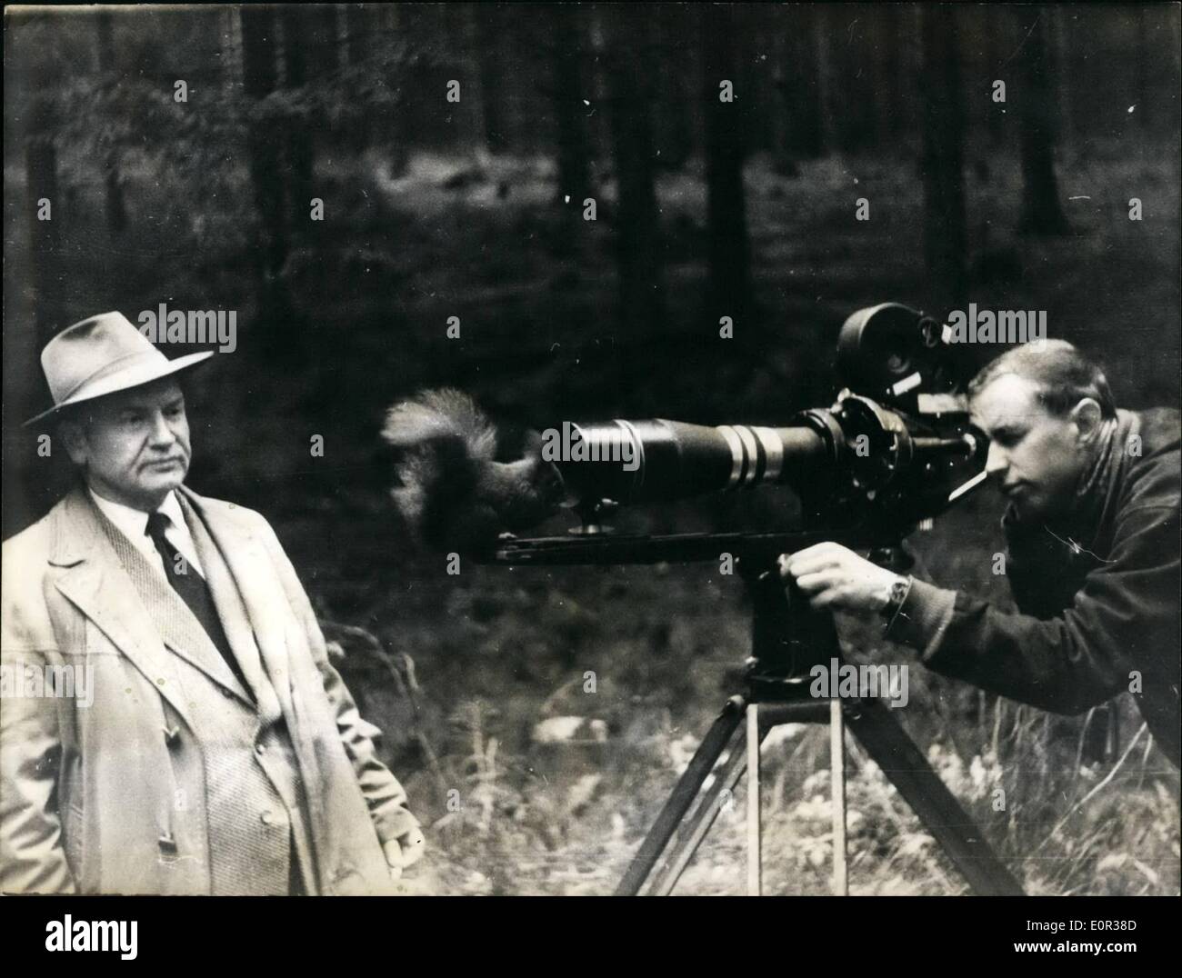 Nov. 11, 1957 - Have you already seen me in the latest newsreel? I can tell you, there was quite an excitement. All people of Hahnenklee were up and about. The visitors of the health-resort just threw about with peanuts, but I simply did not care and set down right in front of the tele-objective. One does not have the chance to appear in a newsreel every day hereabouts. The poor little thing had no idea on lens systems and all that appeared on the film was nothing but a chunk of hair - on the other hand our photographer was lucky to shoot this picture of the squirrel. Stock Photo