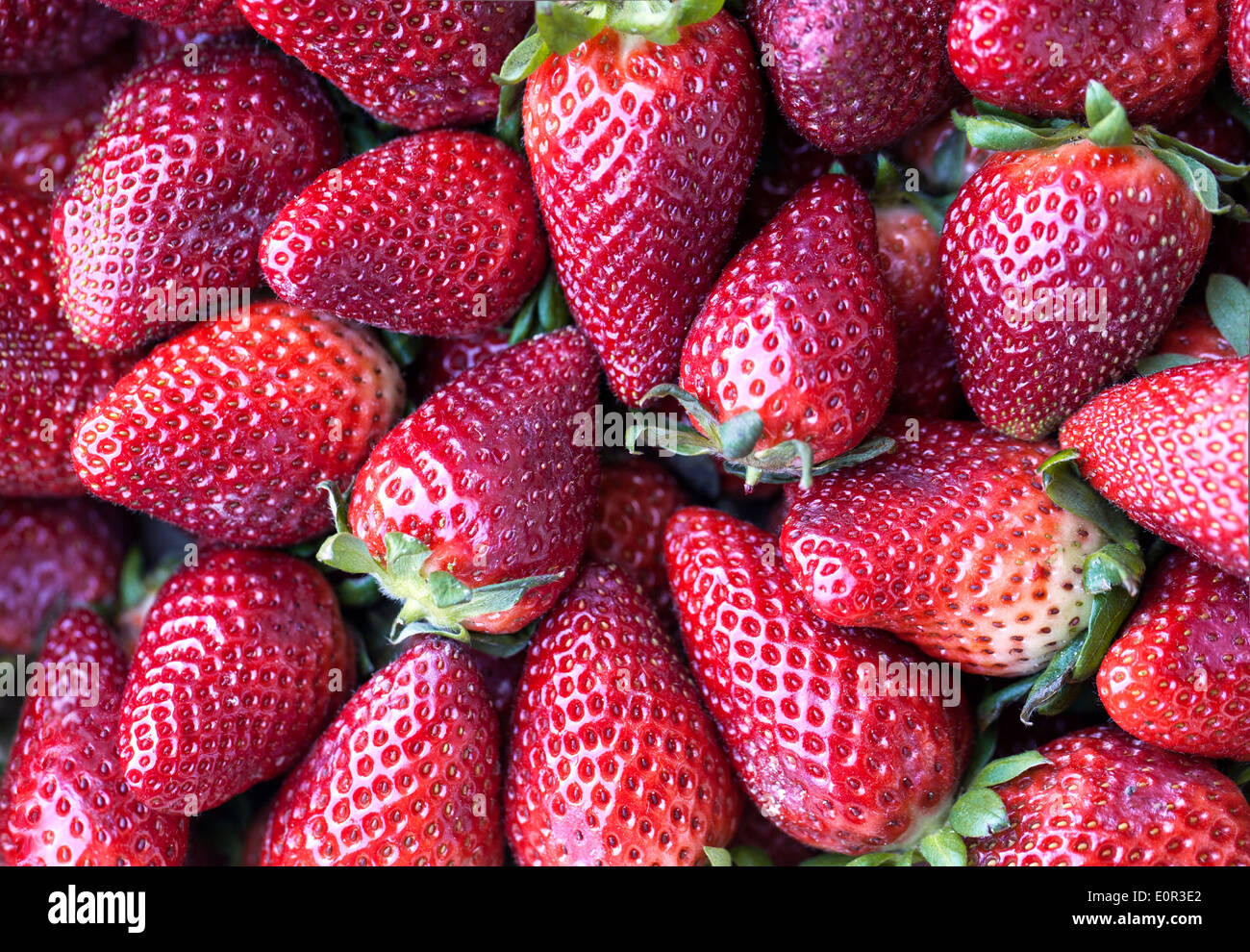 Close-up view of ripe strawberries from Palos de la Frontera, Huelva (Spain) Stock Photo