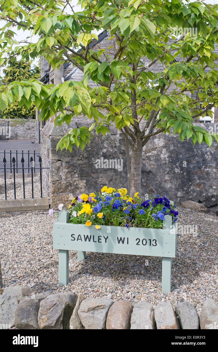 Flower trough planted by Womens' Institute Sawley, Lancashire, England UK Stock Photo