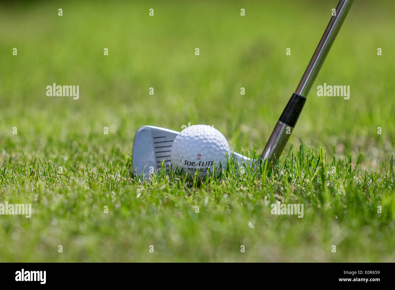 A golf club is pictured as the player prepares to hit a golf ball that is sitting on green grass. Stock Photo