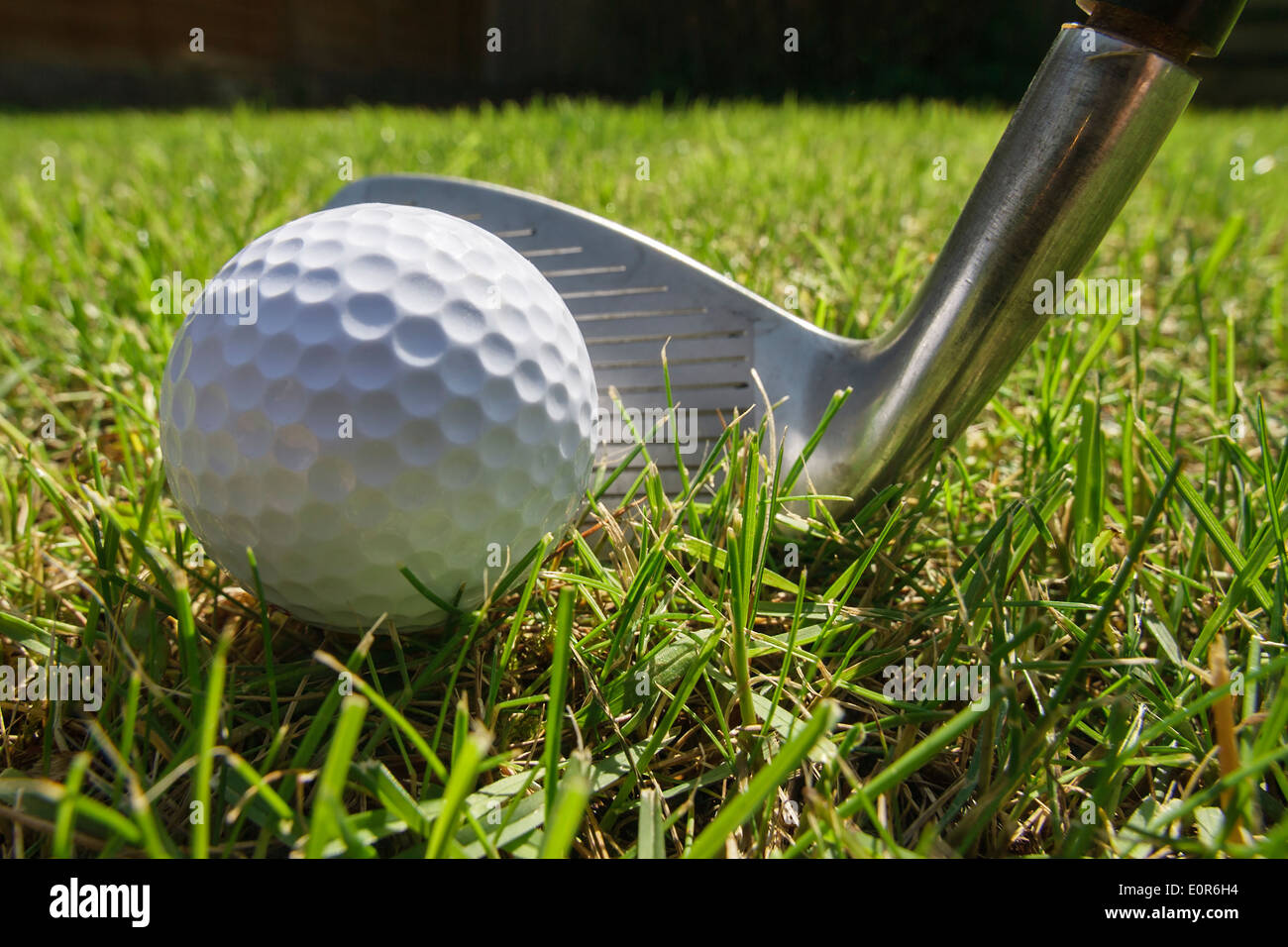 Golf club and golf ball Stock Photo - Alamy